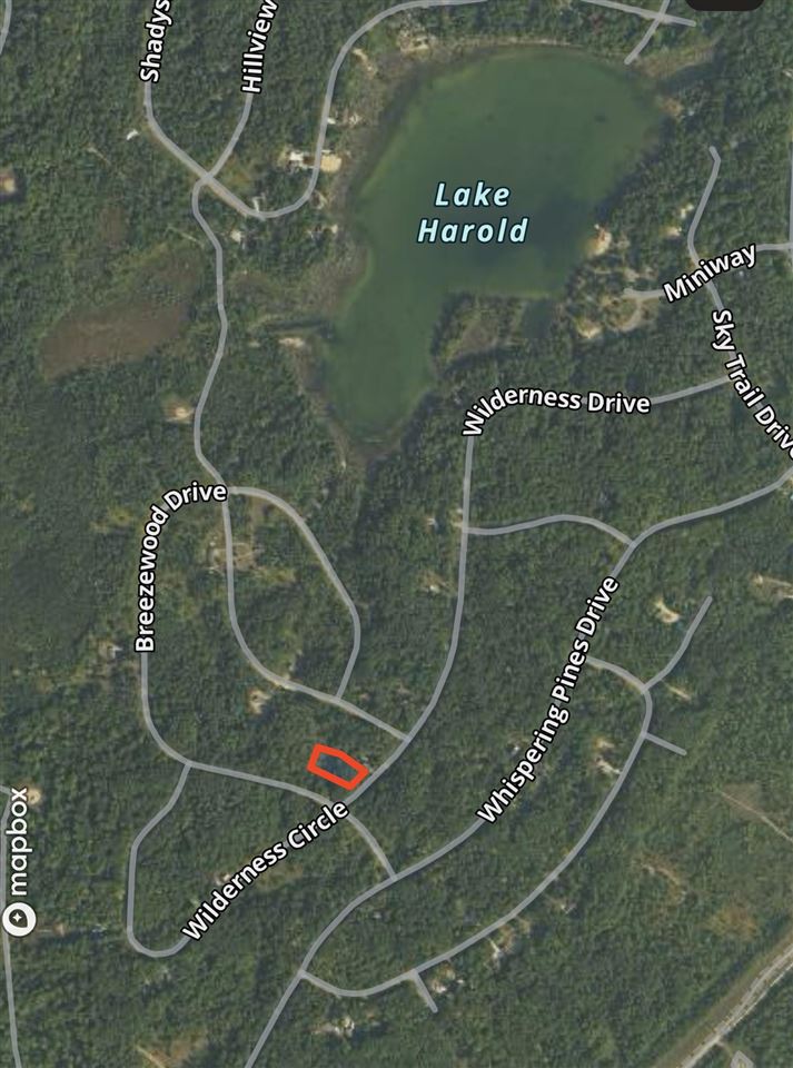Lot 35 Wilderness Drive Mancelona MI 49659