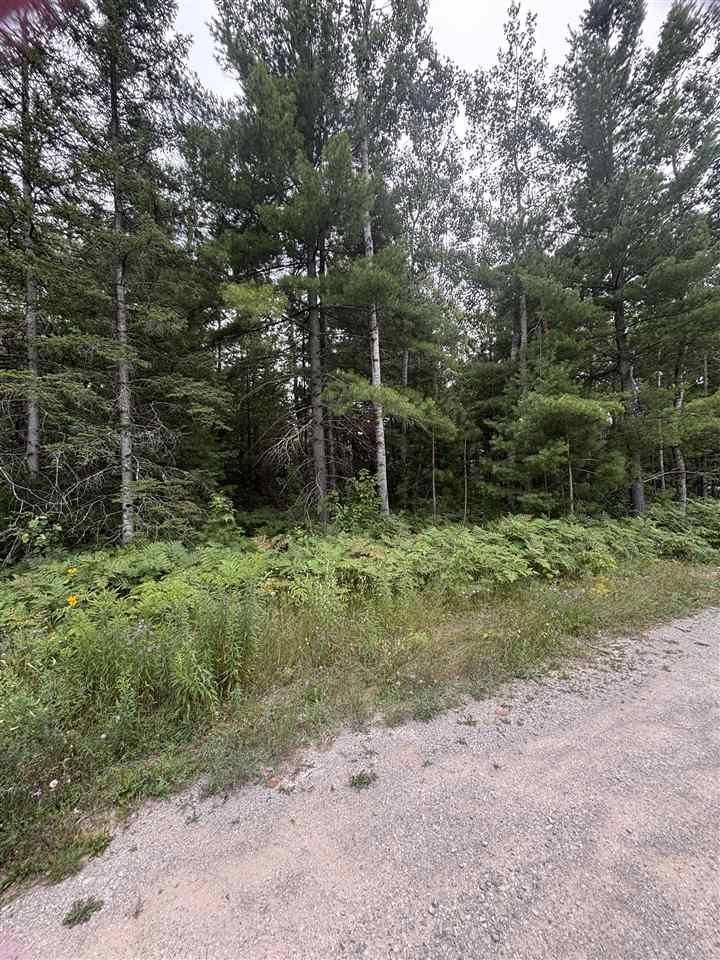 871 Zipf Street Alanson MI 49769