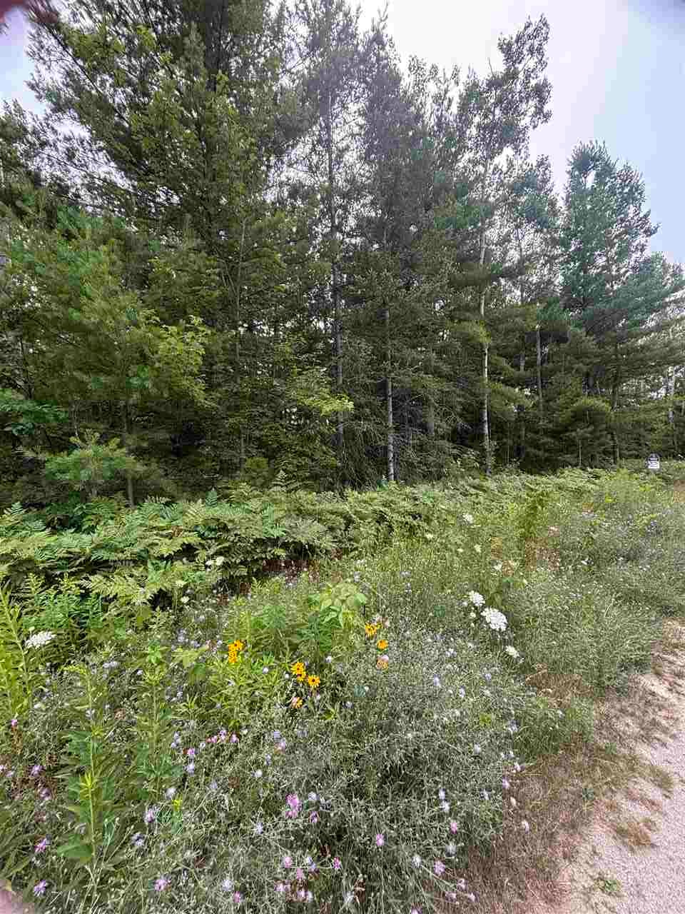 871 Zipf Street Alanson MI 49769
