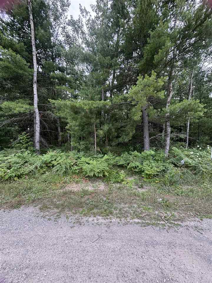 871 Zipf Street Alanson MI 49769
