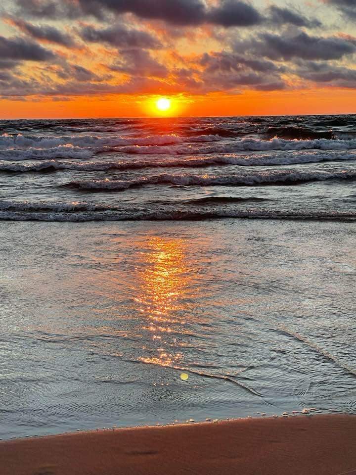 8383 Pine Ridge Drive Harbor Springs MI 49740