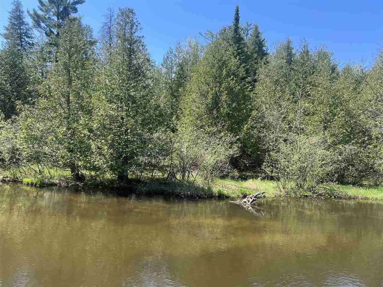 6647 Barbara Avenue Indian River MI 49749