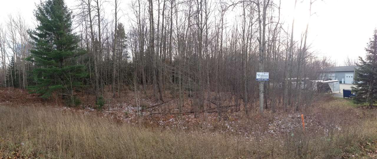 8555 Moeller Drive Harbor Springs MI 49740