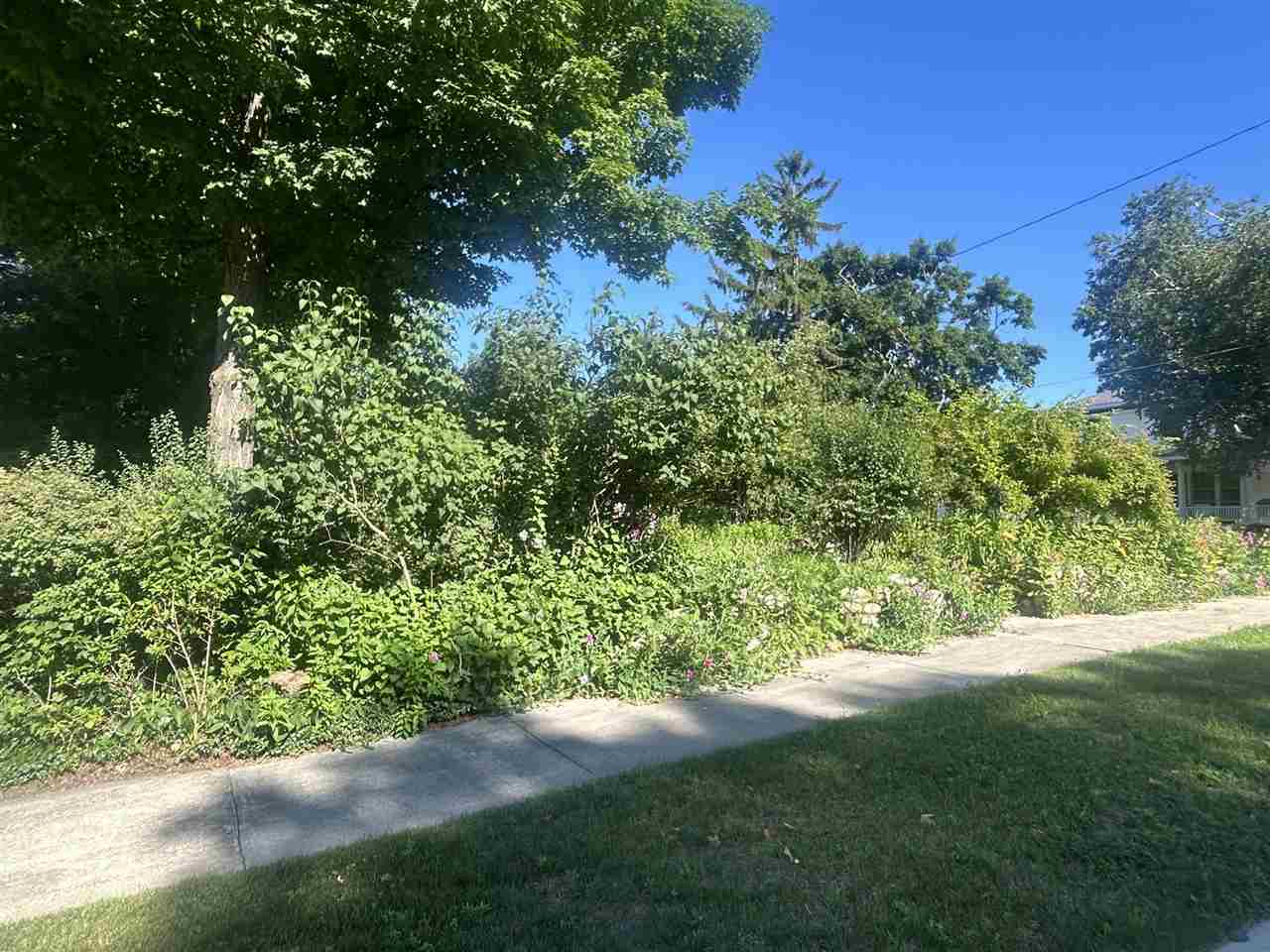 499 Ann Street Harbor Springs MI 49740