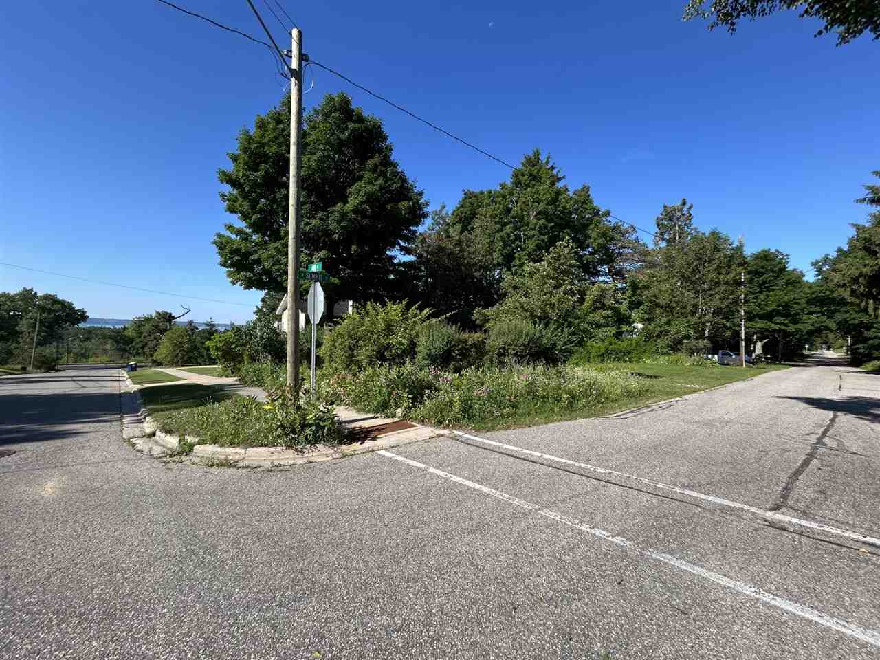 499 Ann Street Harbor Springs MI 49740