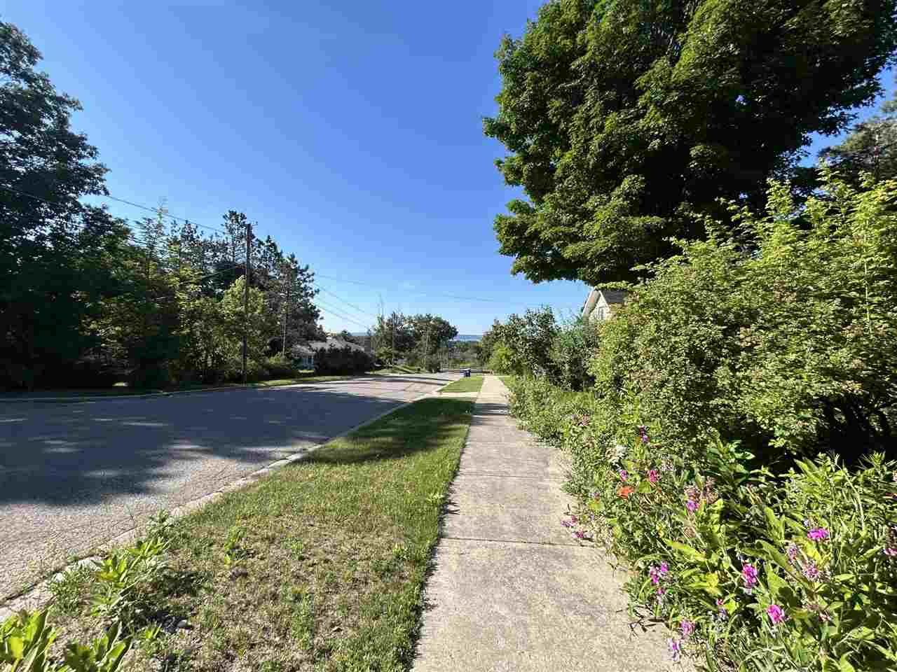 499 Ann Street Harbor Springs MI 49740
