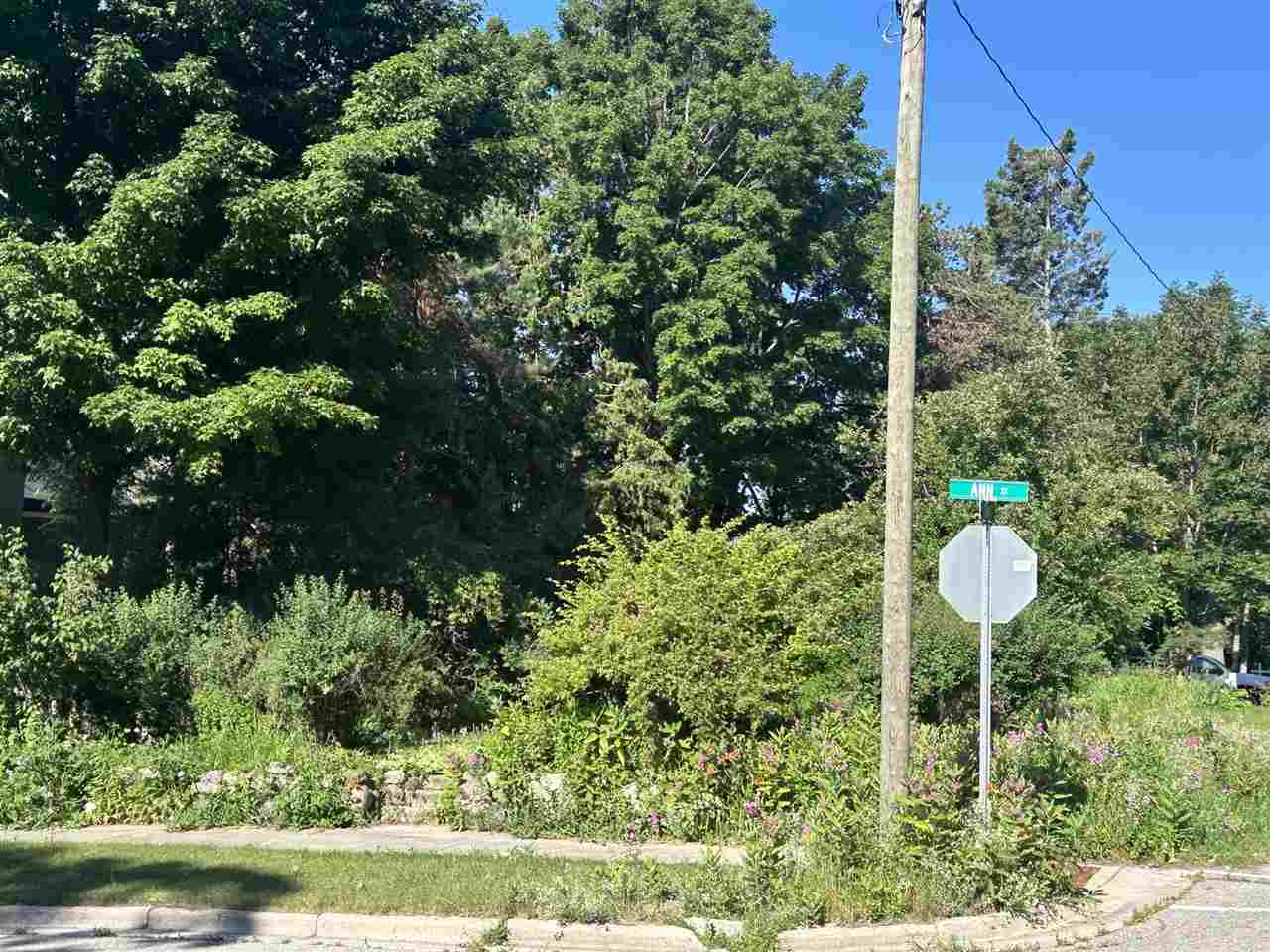 499 Ann Street Harbor Springs MI 49740