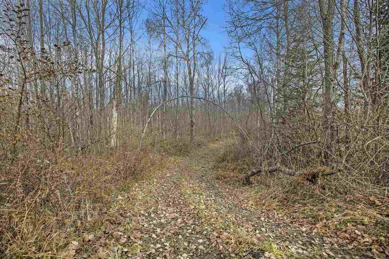 Tbd S River Road Boyne Falls MI 49713