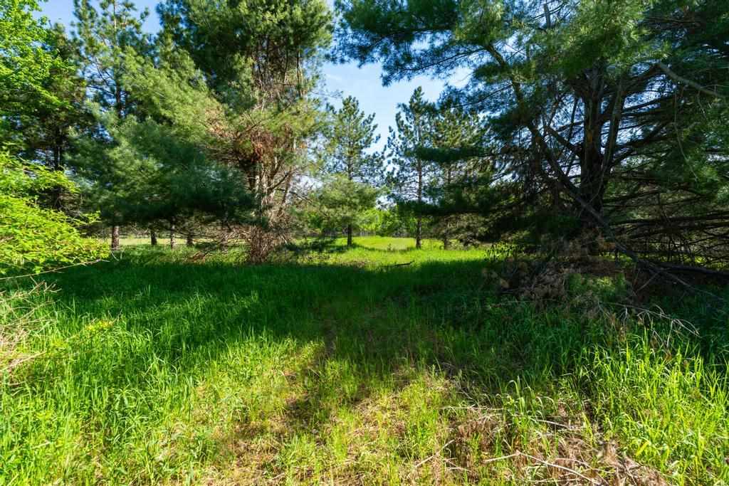 Tbd E Levering Road Levering MI 49755