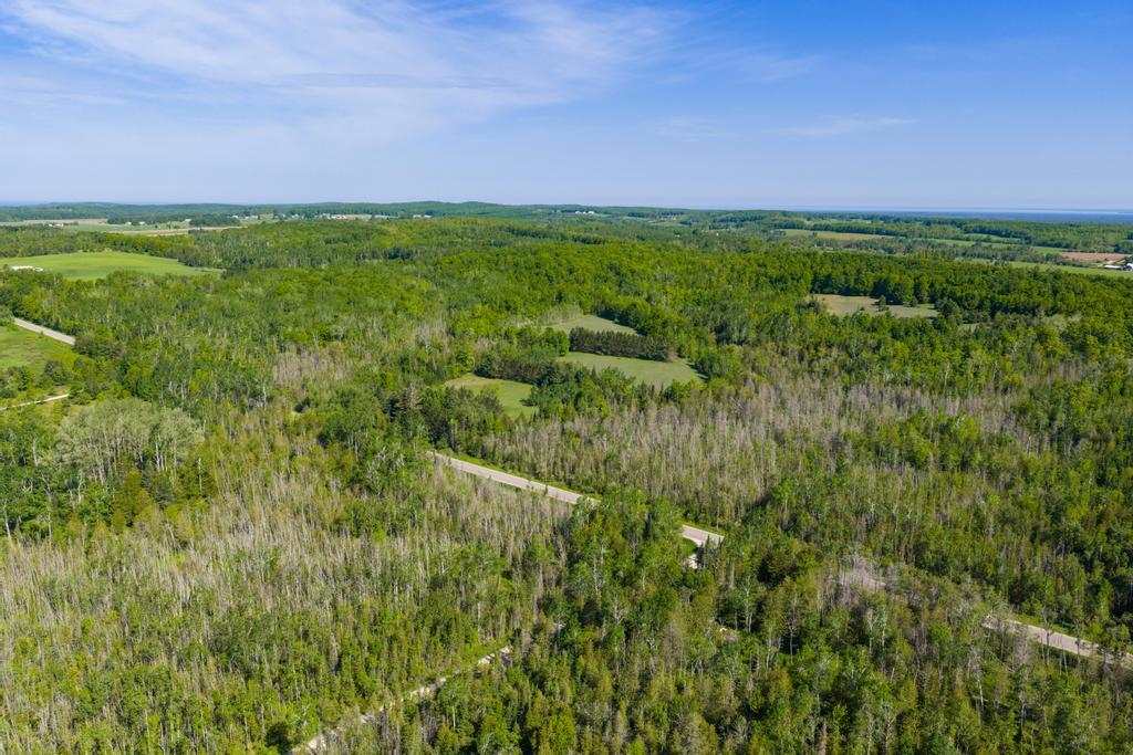 Tbd E Levering Road Levering MI 49755