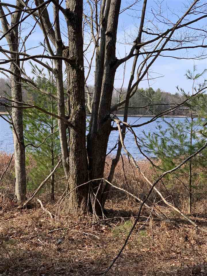 312 Blue Heron Drive Kalkaska MI 49646