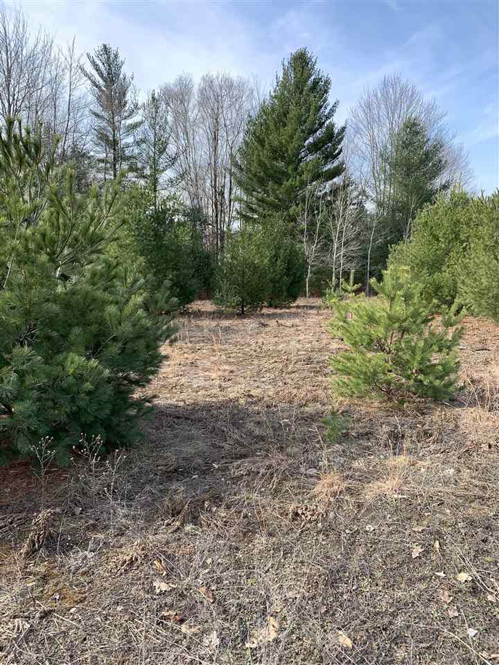 312 Blue Heron Drive Kalkaska MI 49646