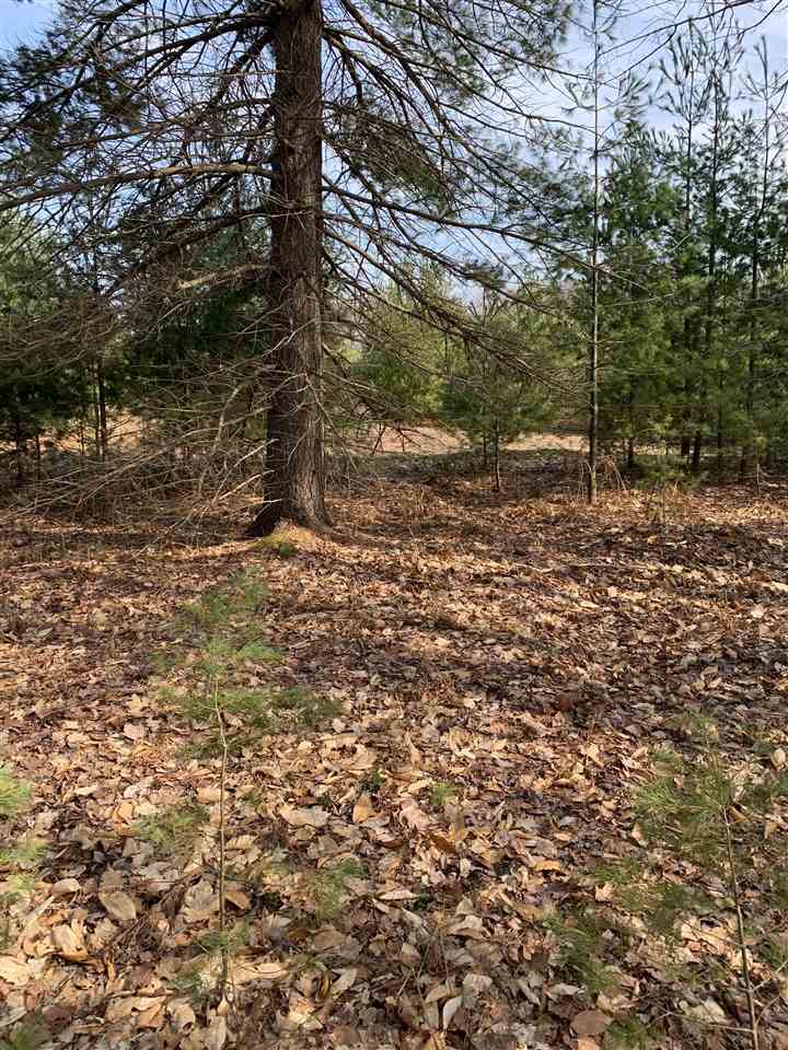 312 Blue Heron Drive Kalkaska MI 49646