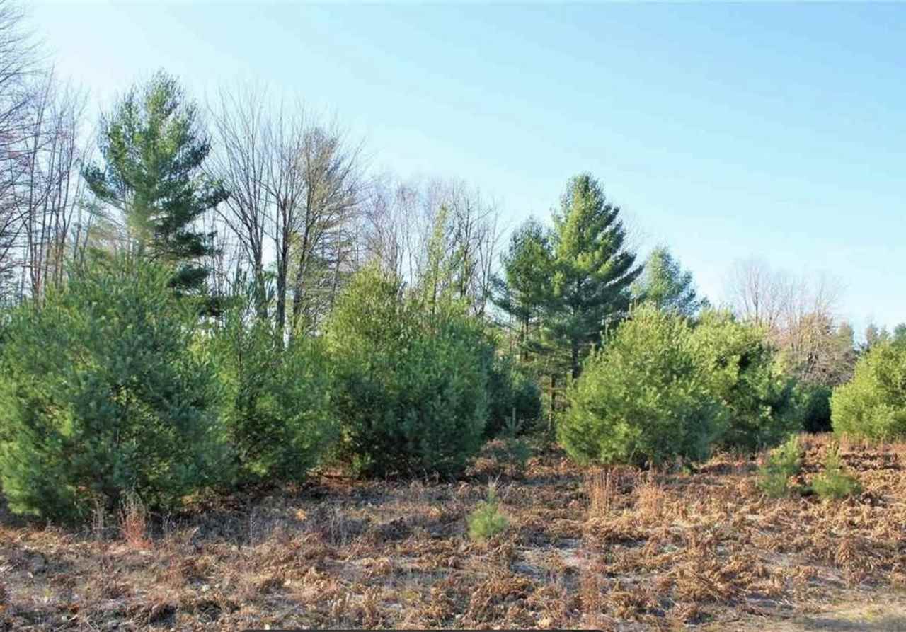 312 Blue Heron Drive Kalkaska MI 49646