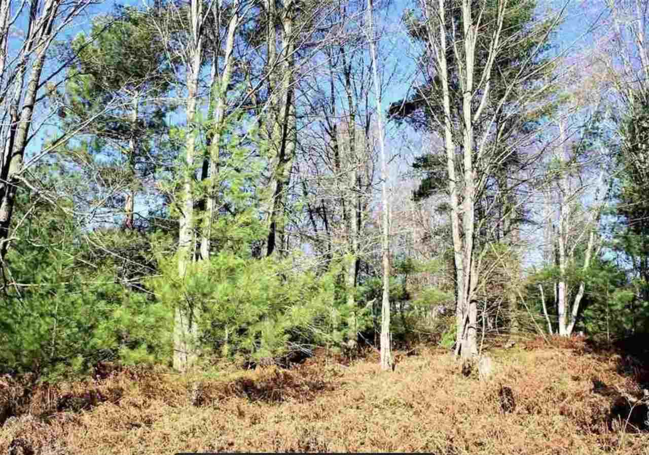 312 Blue Heron Drive Kalkaska MI 49646