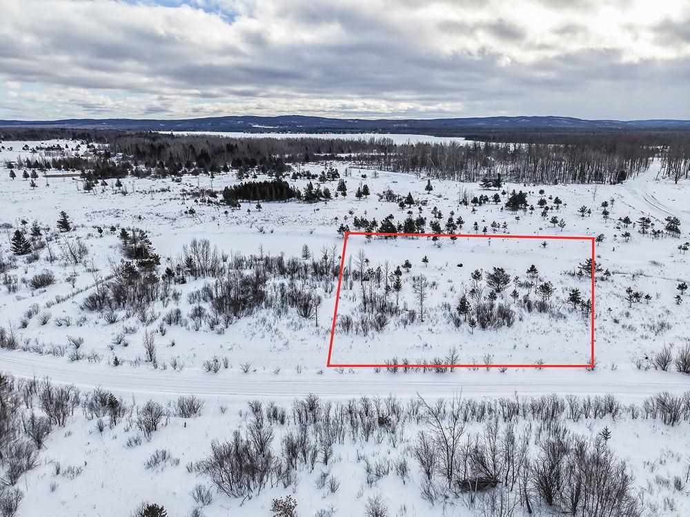 6436 Lora Bette Drive Alanson MI 49706