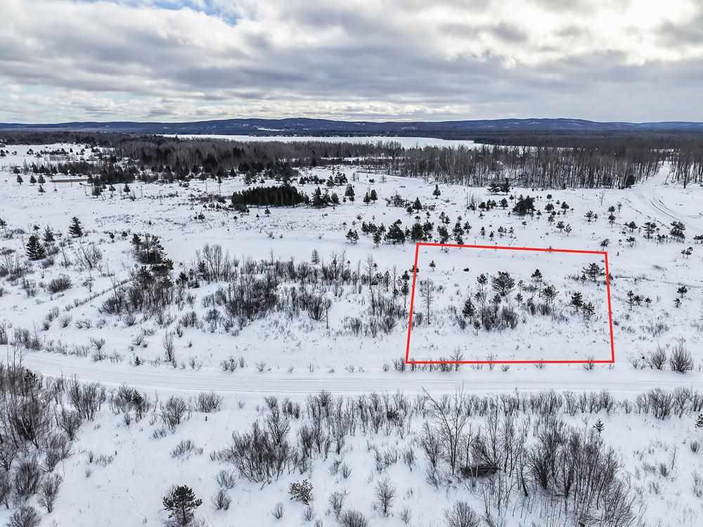 6436 Lora Bette Drive Alanson MI 49706
