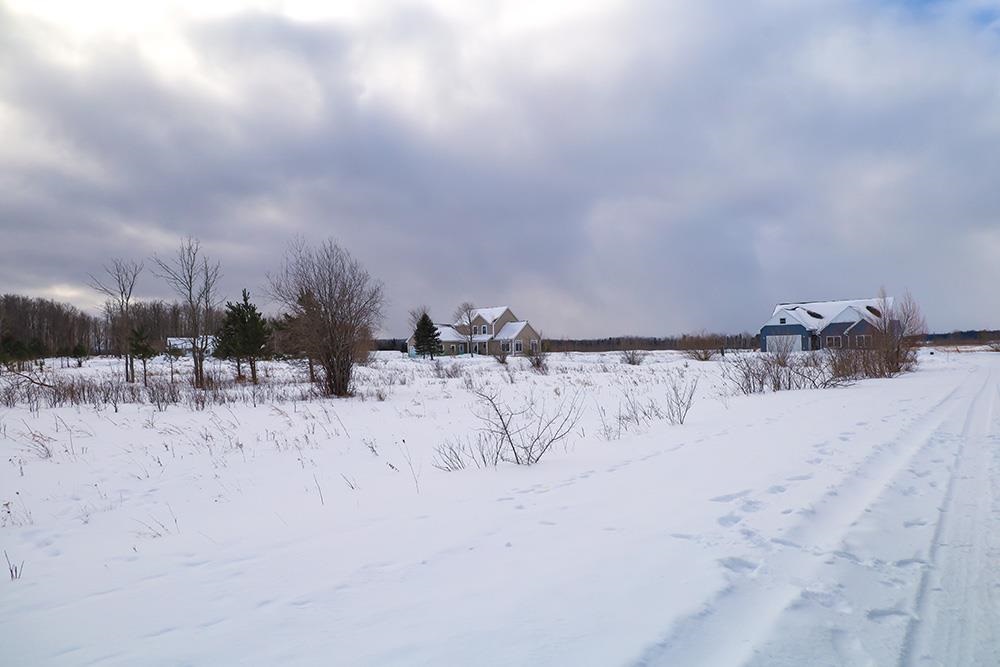 6436 Lora Bette Drive Alanson MI 49706