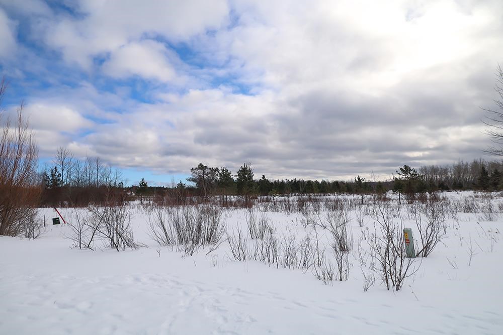 6436 Lora Bette Drive Alanson MI 49706