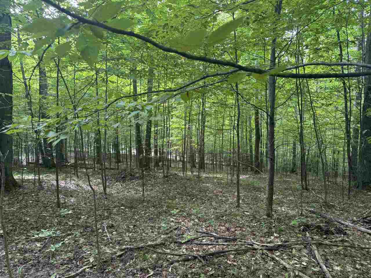 Lot 253 Niblick Court Bellaire MI 49615