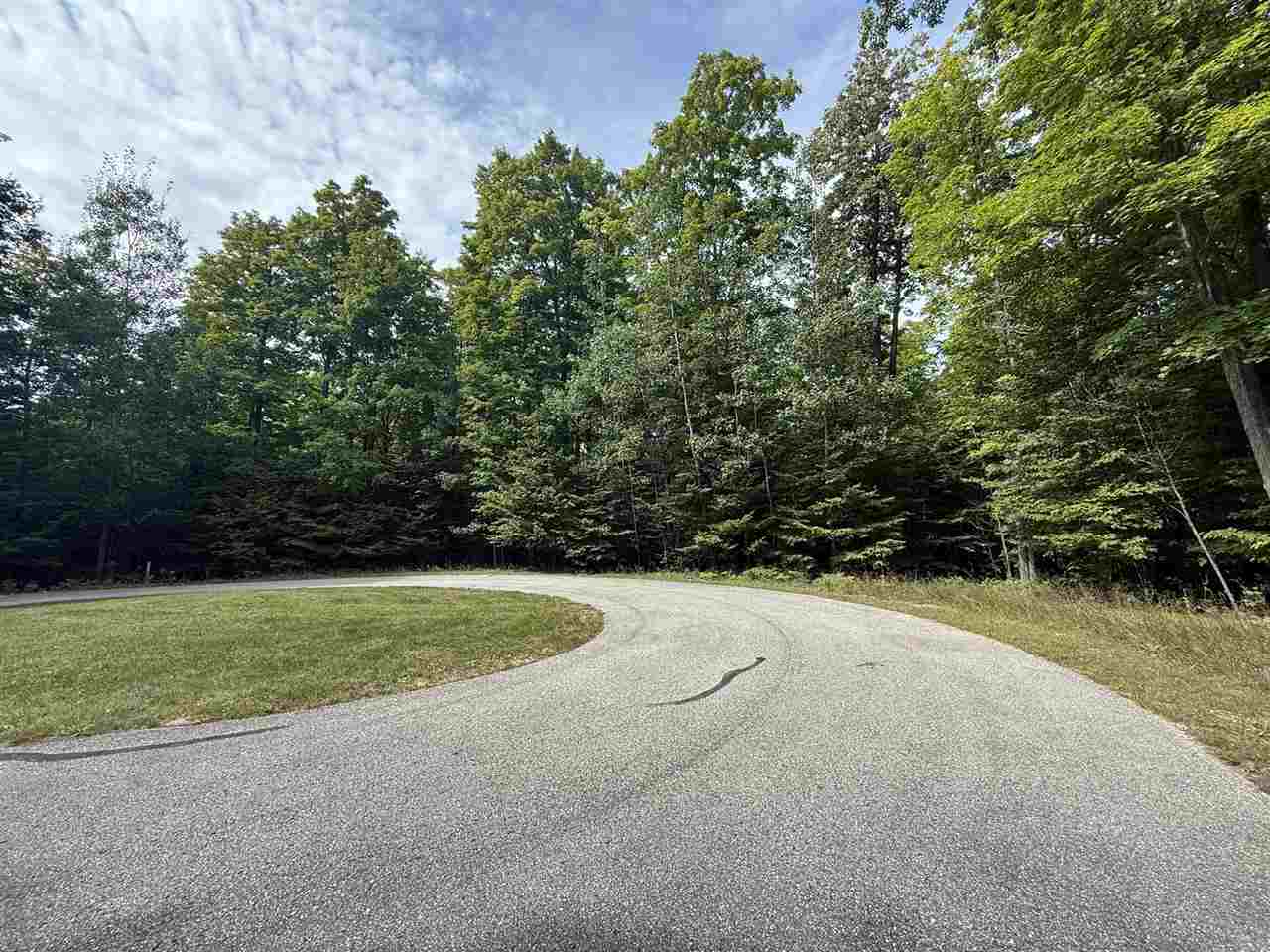Lot 253 Niblick Court Bellaire MI 49615
