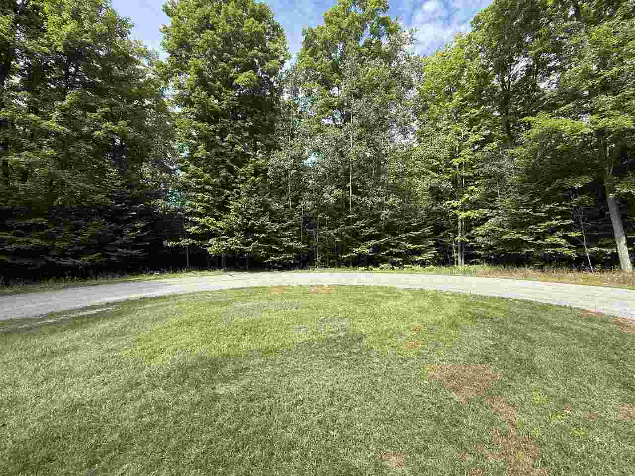 Lot 253 Niblick Court Bellaire MI 49615