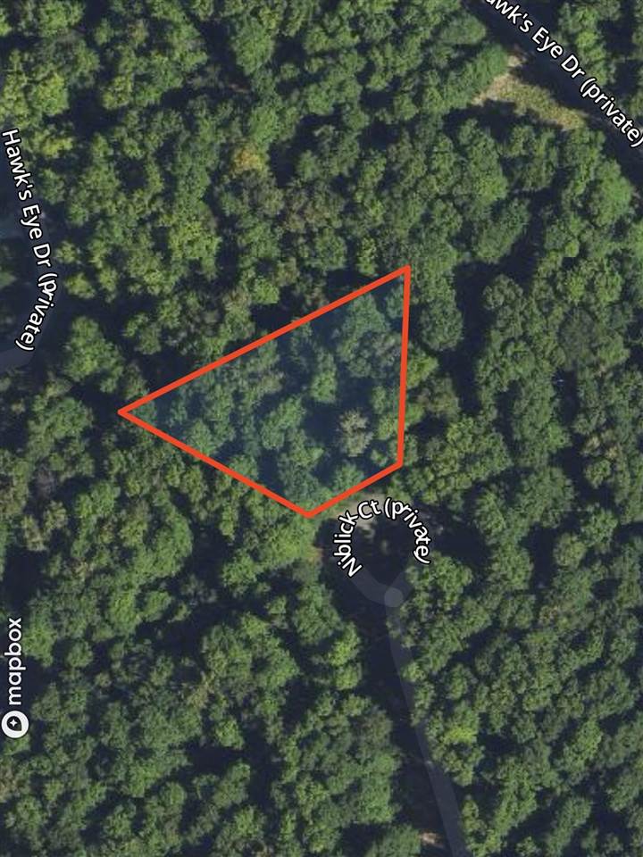 Lot 253 Niblick Court Bellaire MI 49615