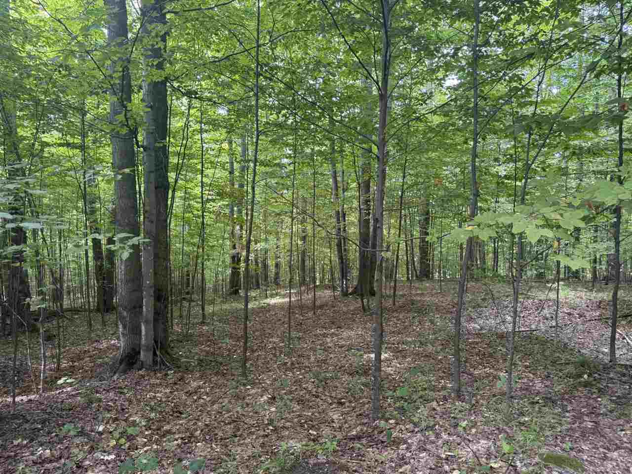 Lot 253 Niblick Court Bellaire MI 49615