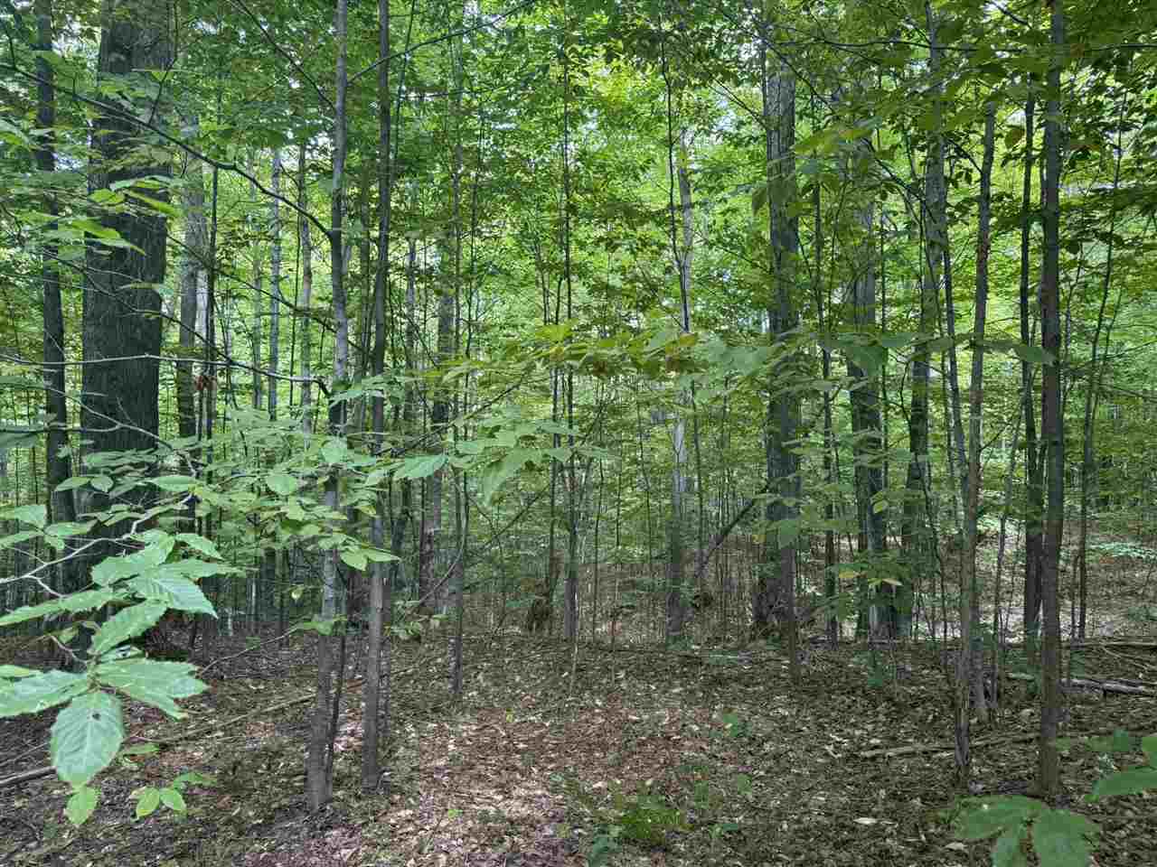 Lot 253 Niblick Court Bellaire MI 49615