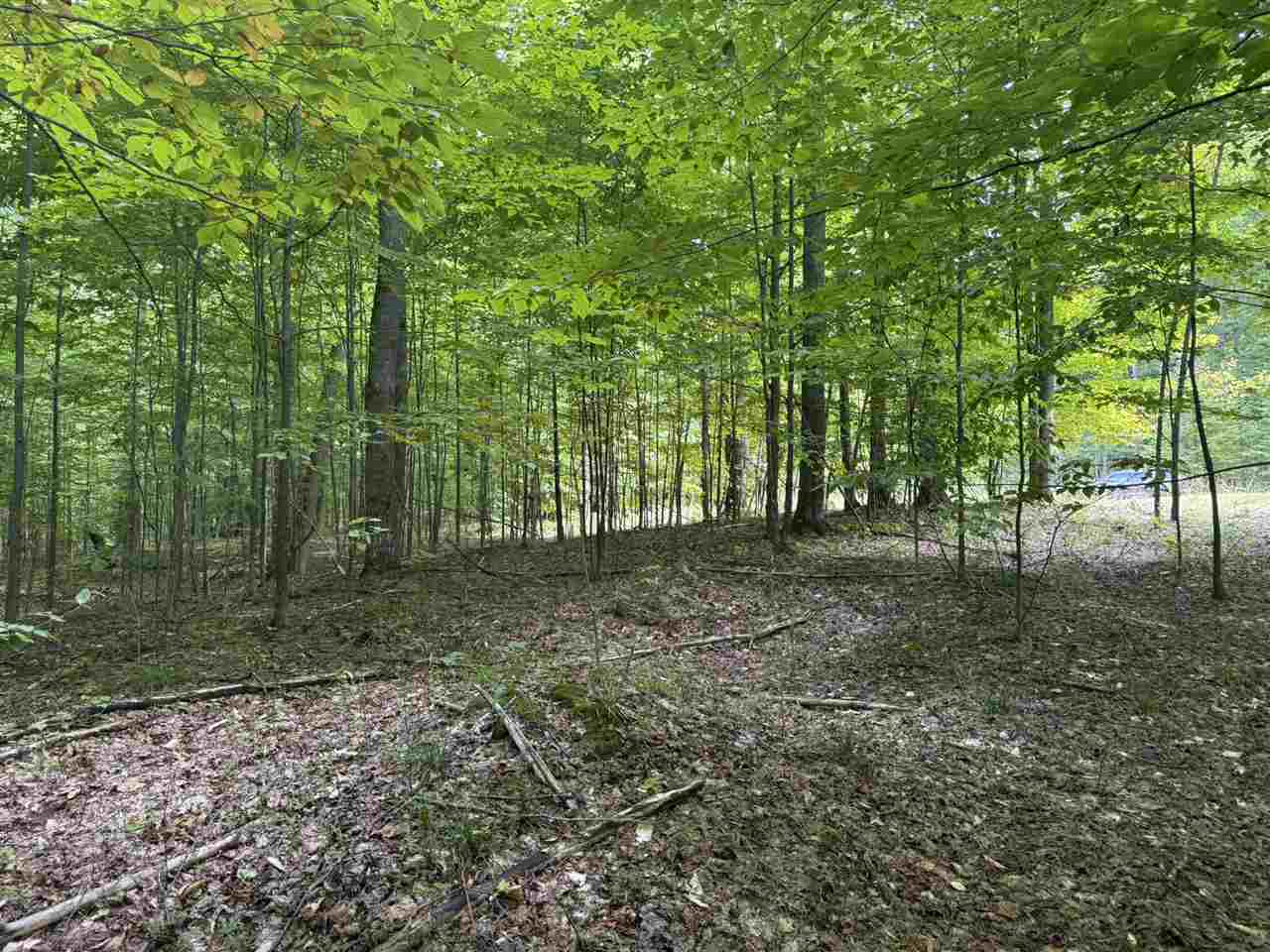 Lot 253 Niblick Court Bellaire MI 49615