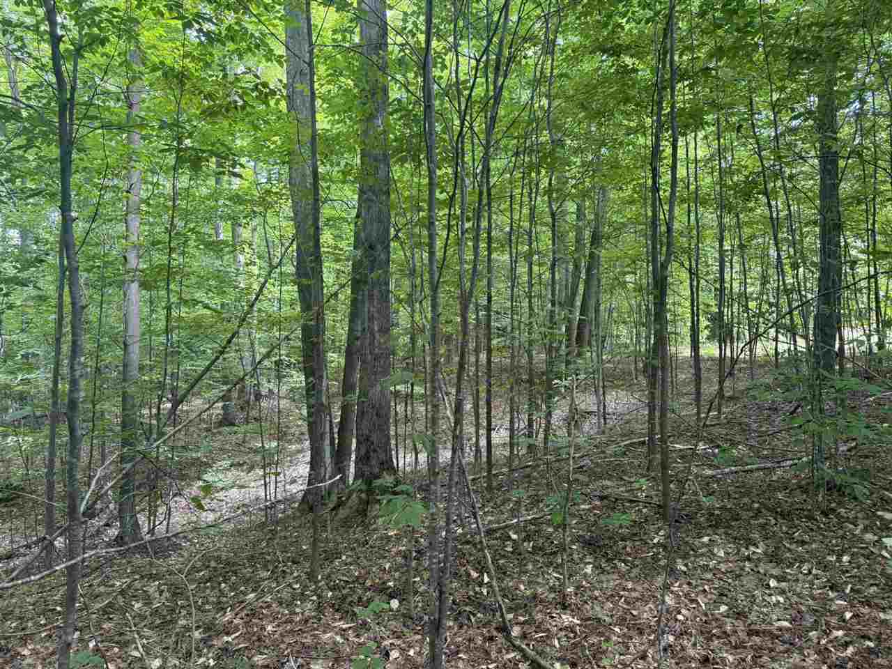Lot 253 Niblick Court Bellaire MI 49615