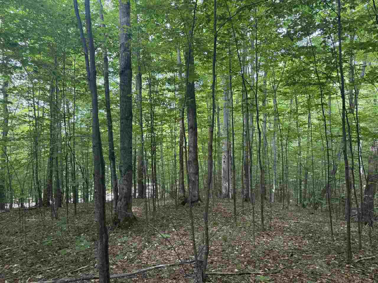 Lot 253 Niblick Court Bellaire MI 49615