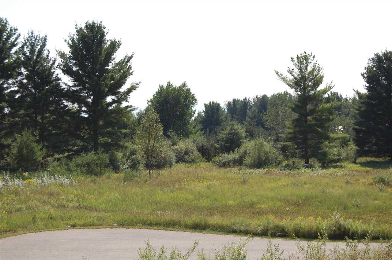6936 Bay Heights Circle Harbor Springs MI 49740