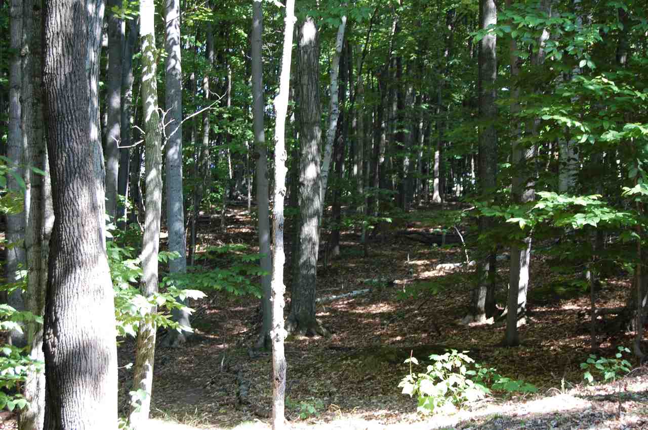 6936 Bay Heights Circle Harbor Springs MI 49740