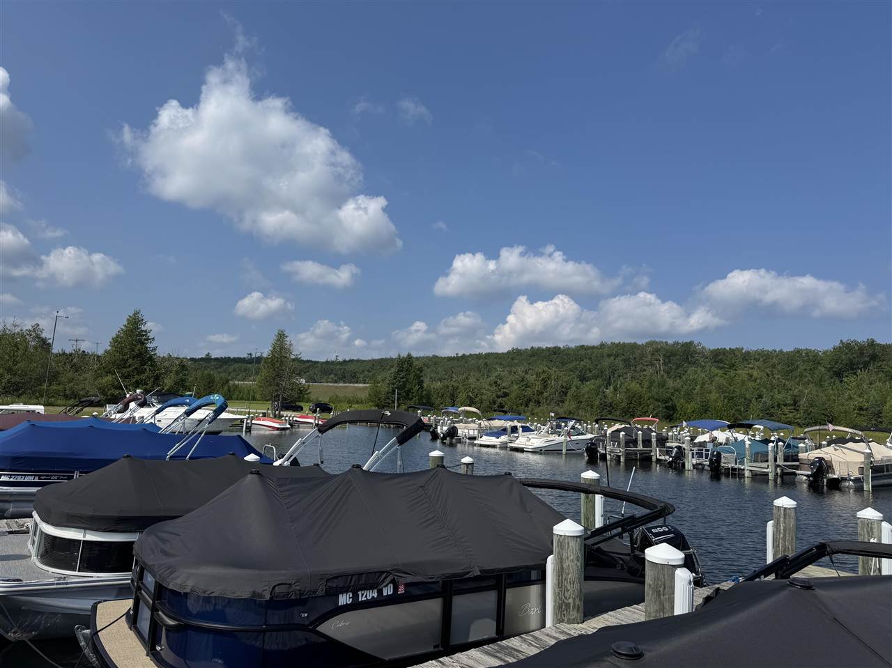 3563 Lake Marina Drive Indian River MI 49749