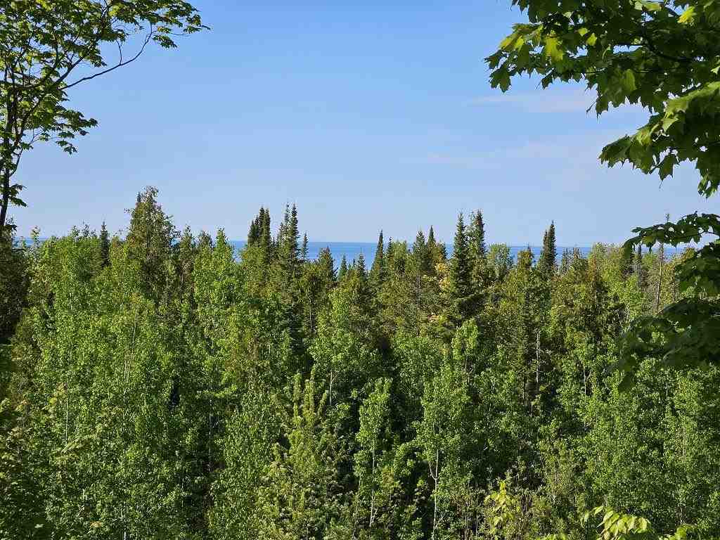 Tbd Summerhill Way Charlevoix MI 49720