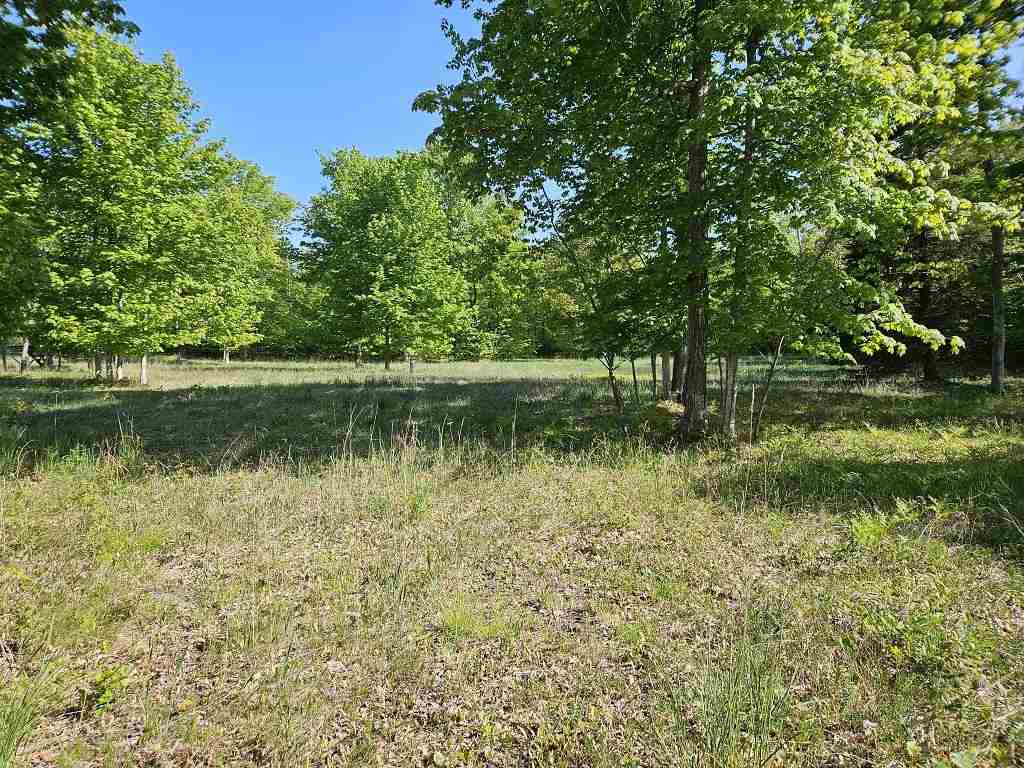 Tbd Summerhill Way Charlevoix MI 49720