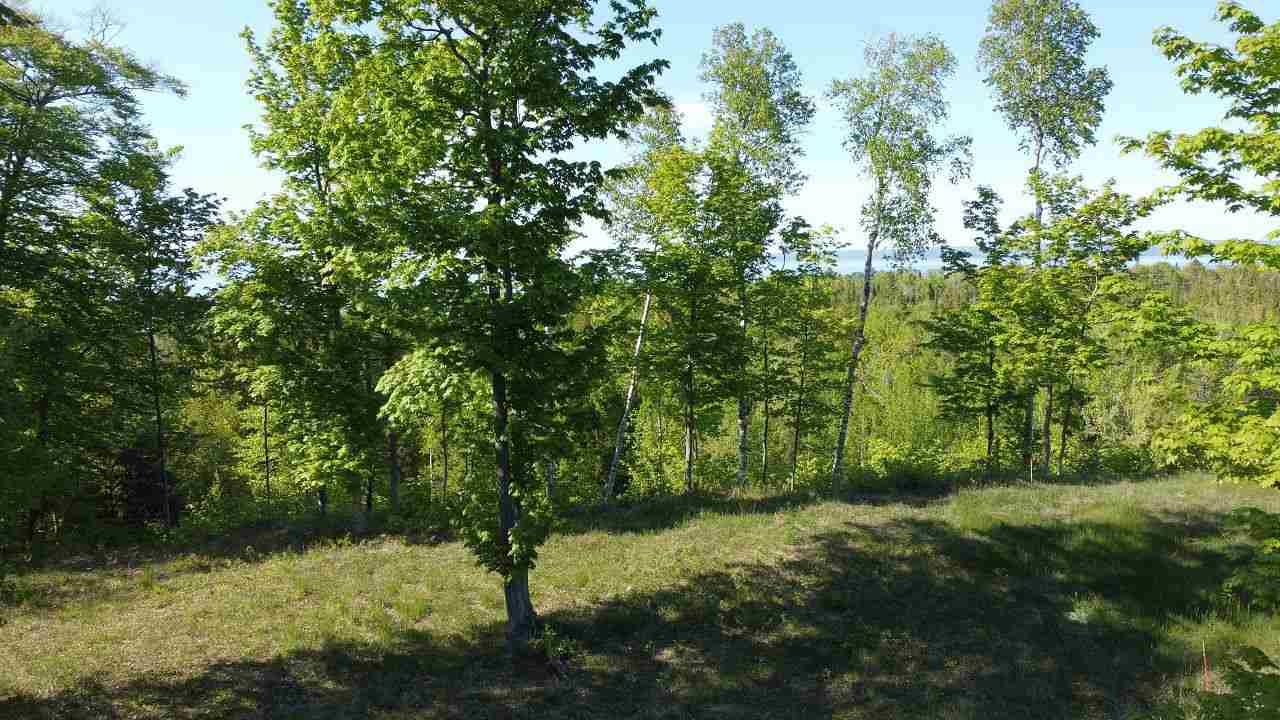 Tbd Summerhill Way Charlevoix MI 49720