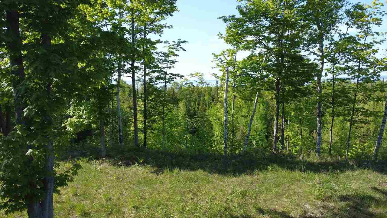 Tbd Summerhill Way Charlevoix MI 49720