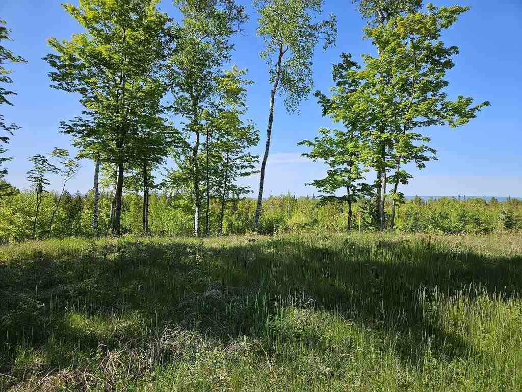 Tbd Summerhill Way Charlevoix MI 49720