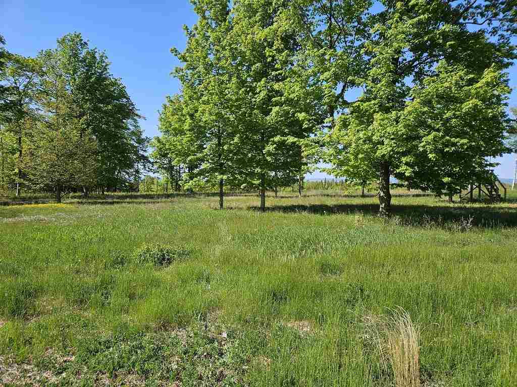 Tbd Summerhill Way Charlevoix MI 49720