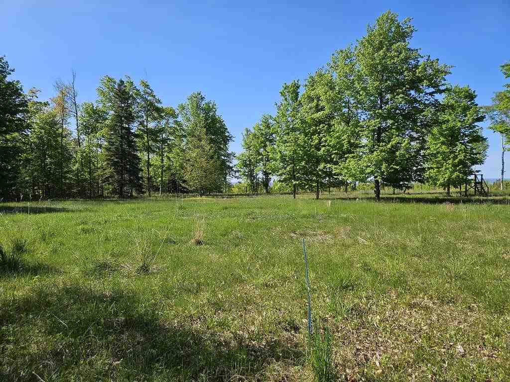 Tbd Summerhill Way Charlevoix MI 49720