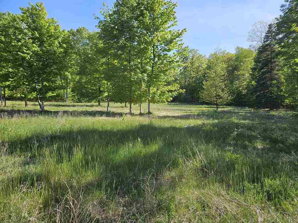 Tbd Summerhill Way Charlevoix MI 49720