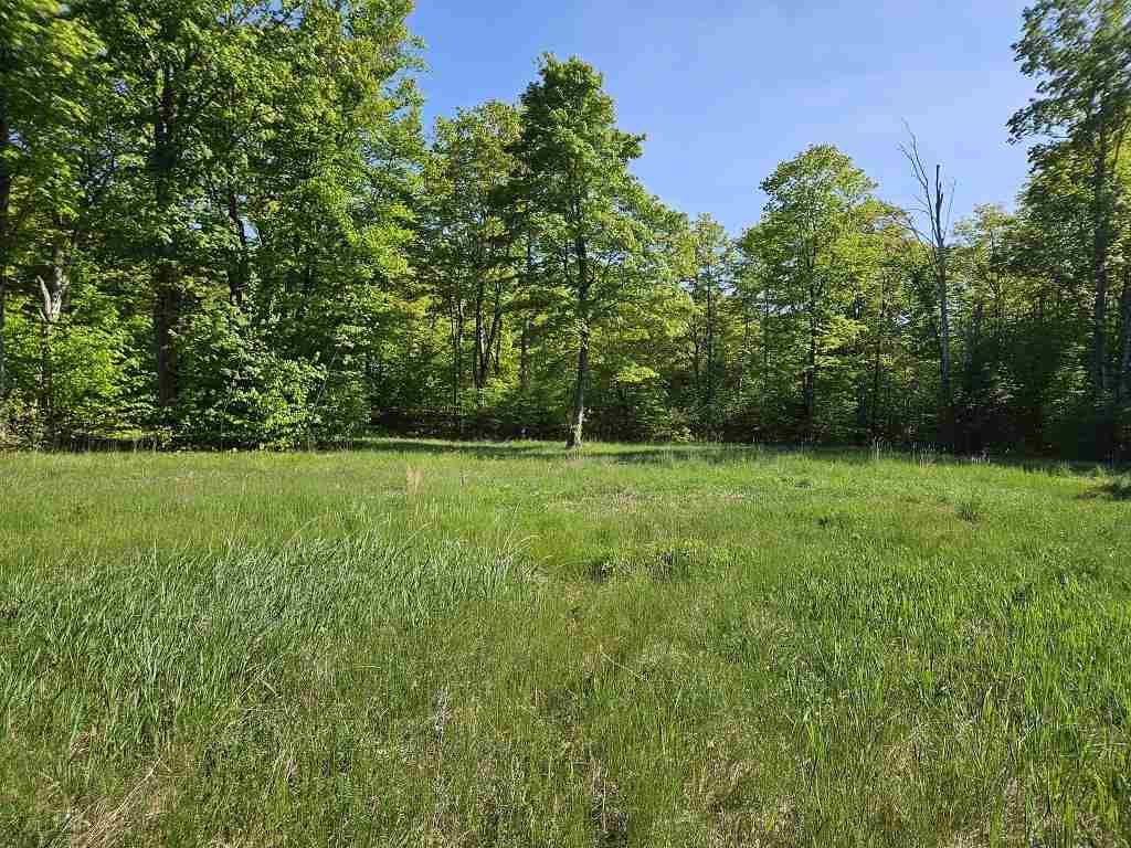 Tbd Summerhill Way Charlevoix MI 49720