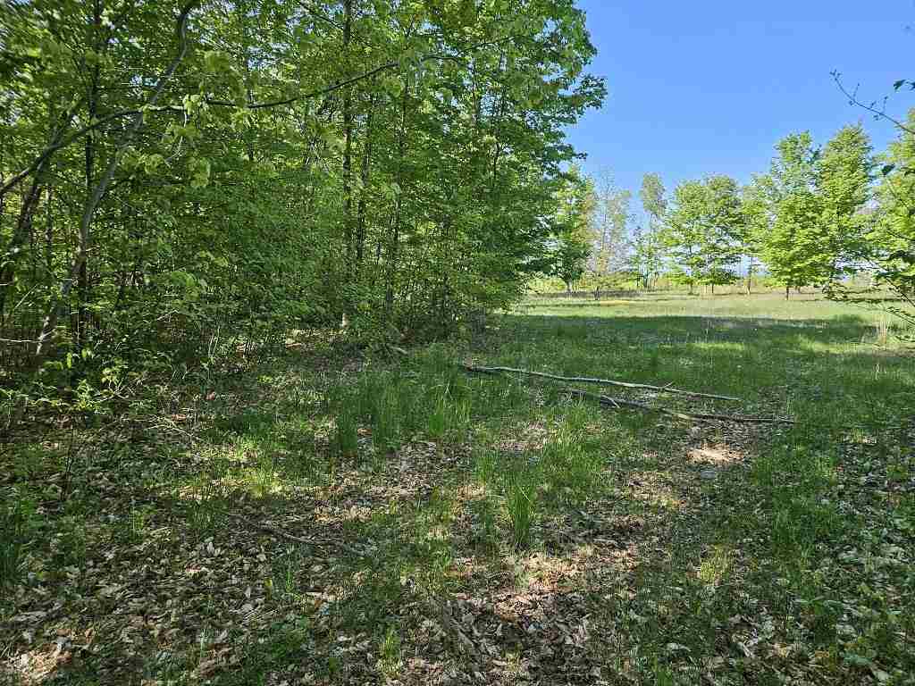 Tbd Summerhill Way Charlevoix MI 49720