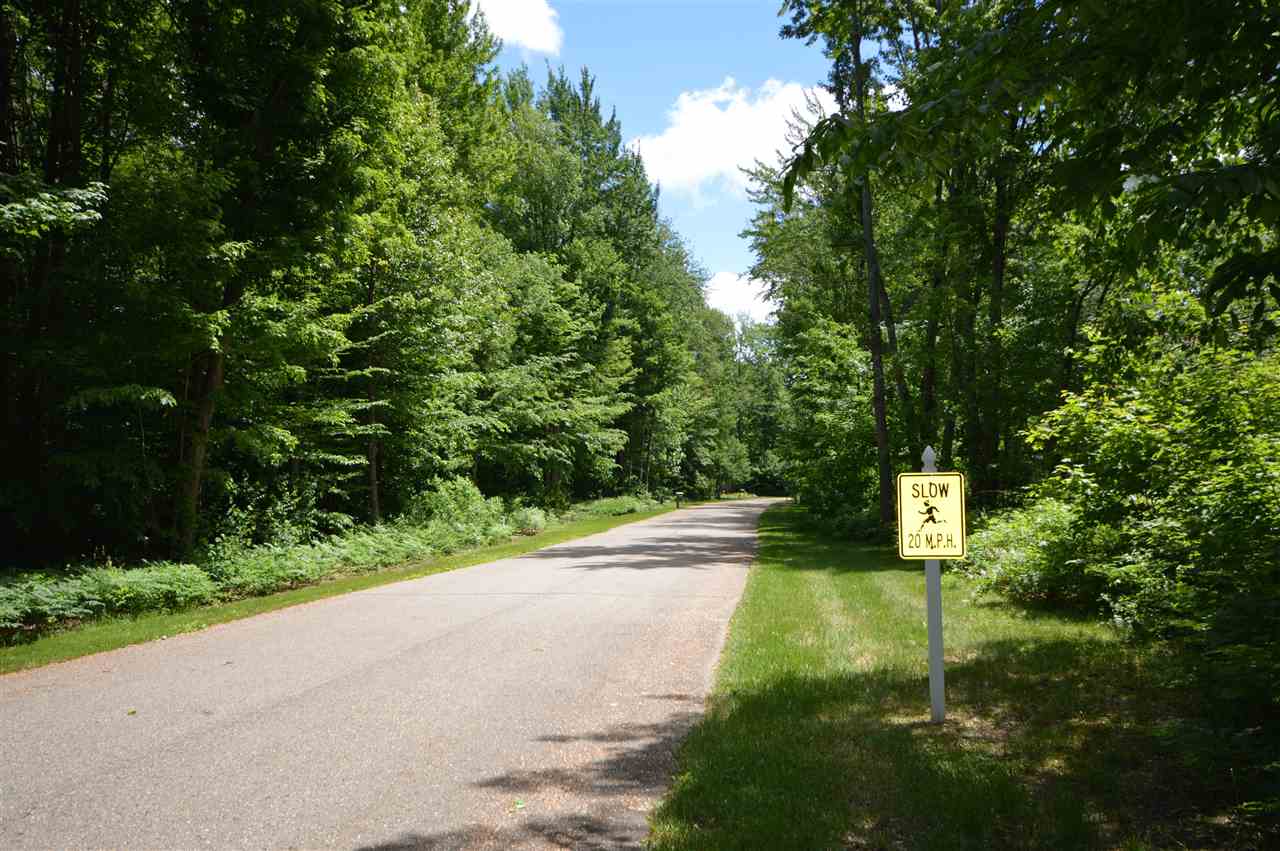 8294 Ridgeway Road Petoskey MI 49770
