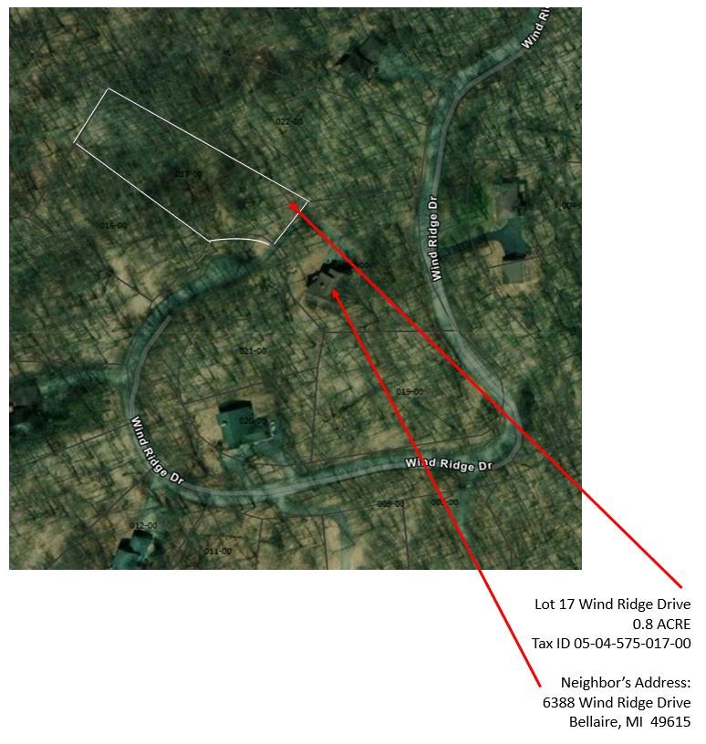 17 Wind Ridge Drive Bellaire MI 49615