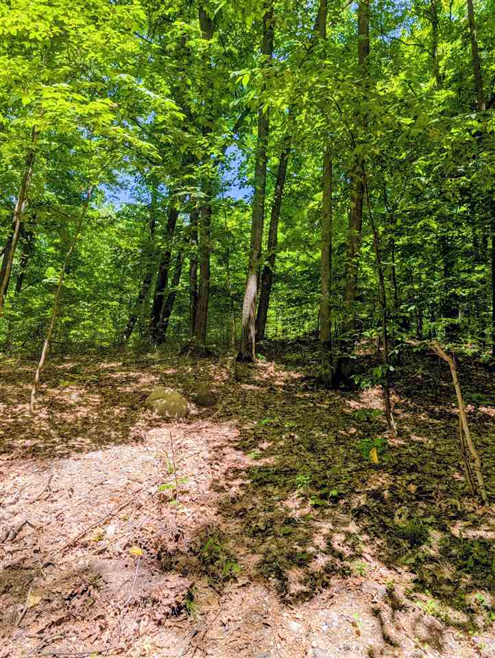 17 Wind Ridge Drive Bellaire MI 49615