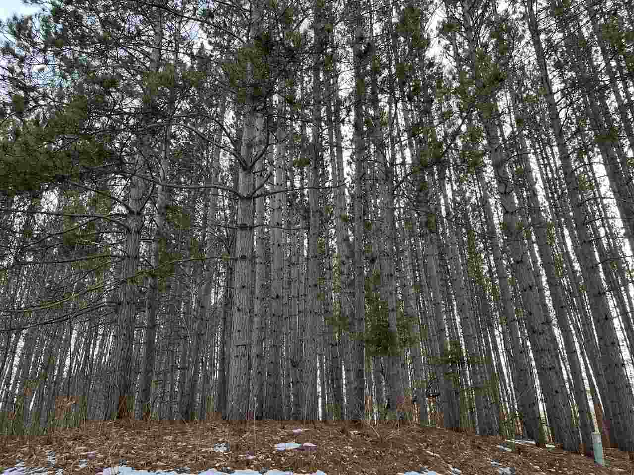 Sumac Drive Harbor Springs MI 49740-0000