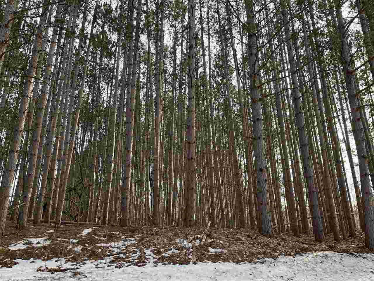 Sumac Drive Harbor Springs MI 49740-0000